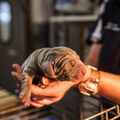 Veterinary science tour